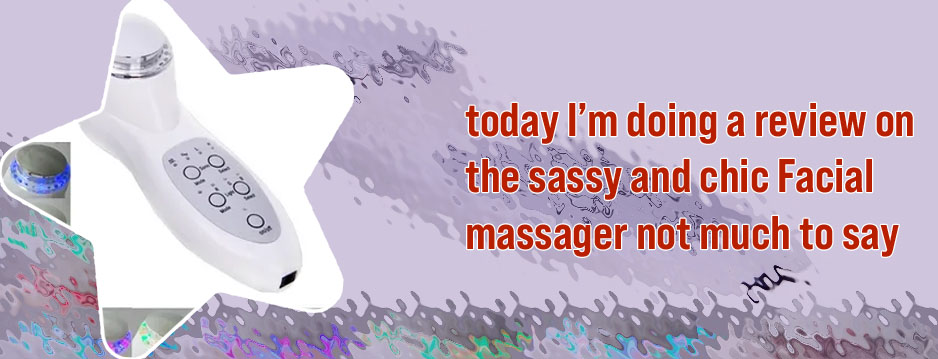 Sassy chic face massager